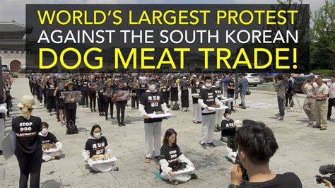 Worlds Largest Protest Against The South Korean Dog Meat Trade Youtube
