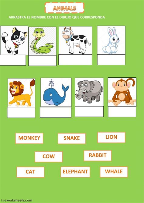 Animals Ficha Interactiva Silabas Material Escolar En Ingles