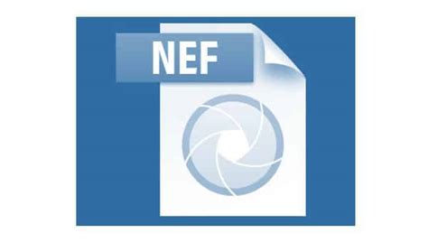 Heres How To Open Nef Files In Windows 10