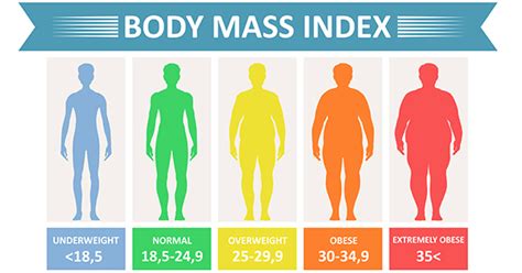 What Is A Bmi And How Is It Calculated Wlfa