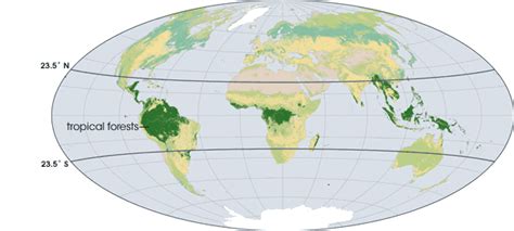 Rainforest Climate Tropical Evergreen Climate Pmf Ias