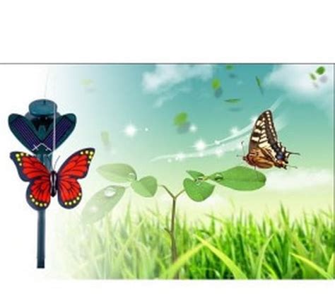 Background power point terbaik animasi bergerak gambar bergerak gambar kupu kupu. Bacground Bunga Dan Kupu-Kupu Bergerak - Kupu Kupu Gif ...