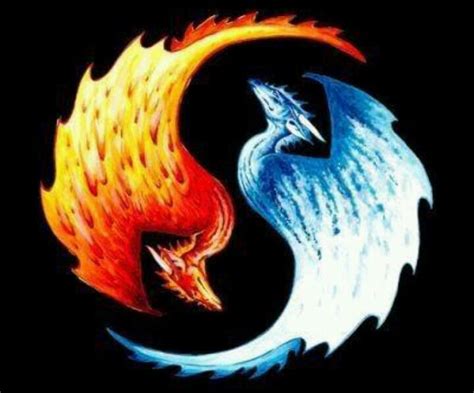 Fire And Ice Dragon Fire And Ice Dragons Yin Yang Art Ice Dragon