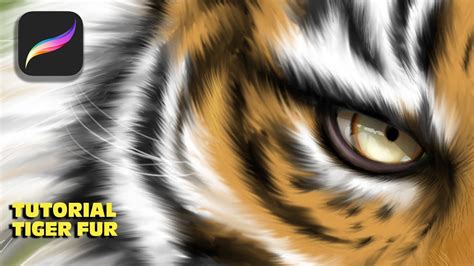 How To Paint Tiger Fur In Procreate Simple Step By Step Tutorial