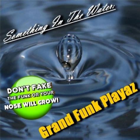 Amazon Com Something In The Water Grand Funk Playazs Digital Music