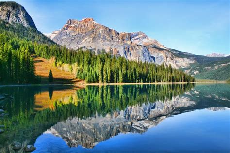 Amazing Reflection Emerald Lake Yoho National Park Canada