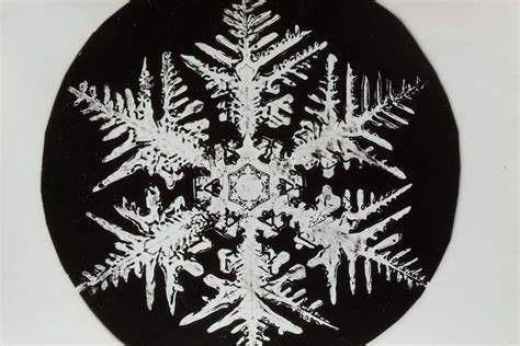 The pioneering snowflake photographs of a young obsessive | New Scientist