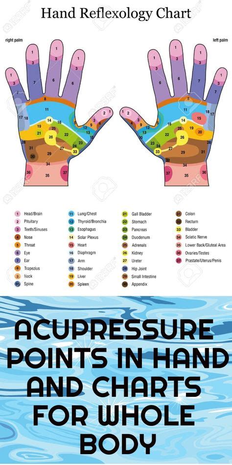 Acupressure Hand Points And Chart Acupressure Points Reflexology