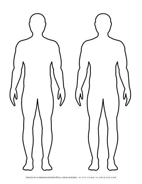 Male Body Outline Drawing