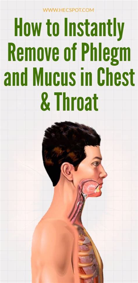 How To Get Rid Of Phlegm And Mucus In Chest And Throat Hecspot Chest