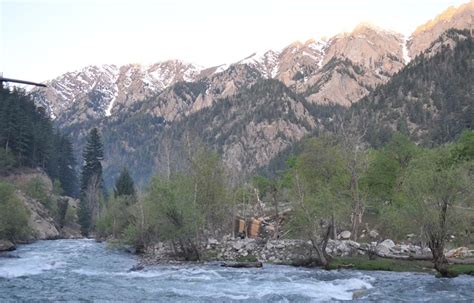 Afghanistan National Forest Exploring The East Afghan Montane Conifer