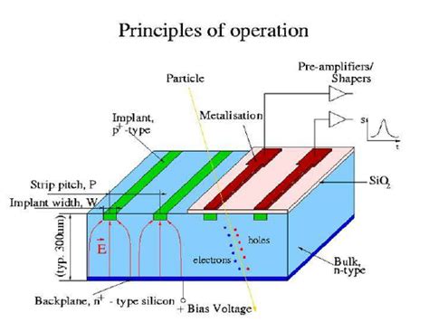 Principles Of Operation Of A Silicon Strip Detector Download