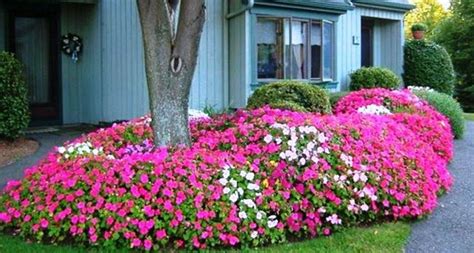 60 Beuatiful Colorful Landscaping Ideas With Low Maintenance Flower Bushes
