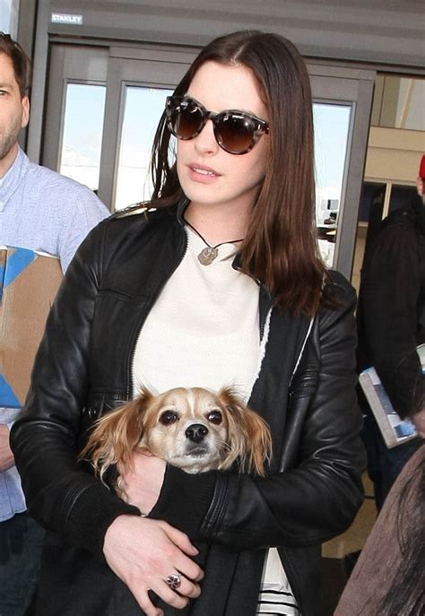 Anne Hathaway Arrives In La With Her Dog Ahead Of The Oscars