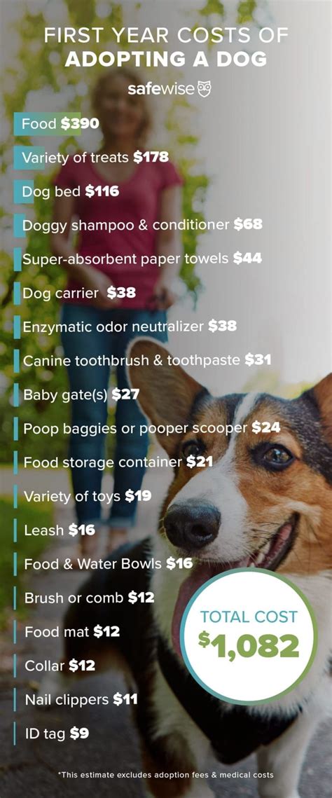 What Costs More Pets Vs Babies Safewise