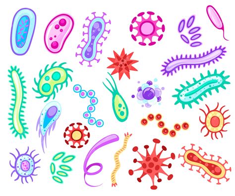 Bacterias Y Virus Colecciones De Microorganismos Coloridos Bacterias