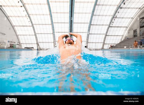 Man Swimming In An Indoor Swimming Pool Professional Swimmer