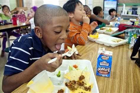 Free Picture Boy Eating Cooked Food Broccoli School Lunch