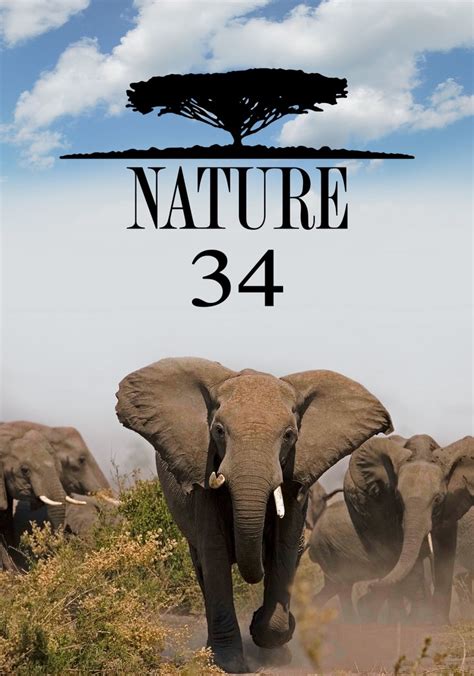 nature season 34 watch full episodes streaming online