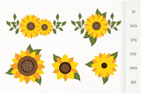 Sunflowers Svg Sunflower With Leaves Vector 819593