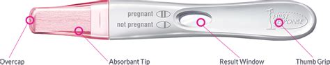 The bfp pregnancy test can be performed at any time of the day; Test & Confirm Pregnancy Test | First Response | FIRST ...