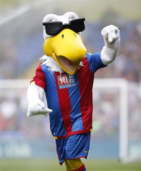 This Seasons Premier League Mascots Ranked