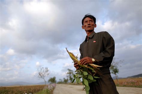 Domestic grain production is forecast to fall 1.1 million tonnes short of the amount needed to feed north korea's population. Life in North Korea - The last home of Communism