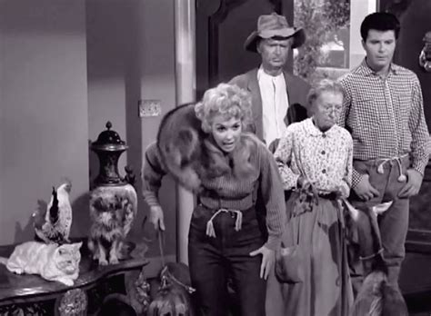 The Beverly Hillbillies The Clampetts Go Hollywood Cinema Cats