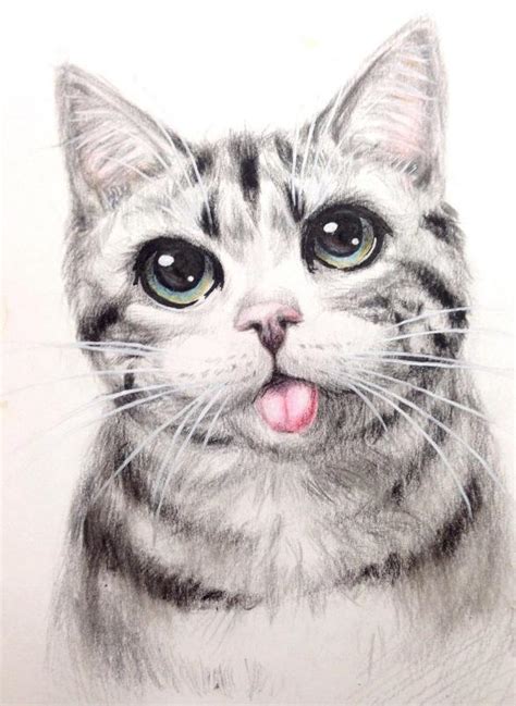 貓咪繪畫教程：只需要8步，教你畫出一隻可愛的小貓咪 每日頭條