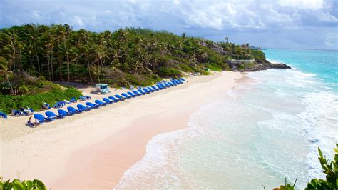 10 Top Things To Do In Barbados September 2022 Expedia