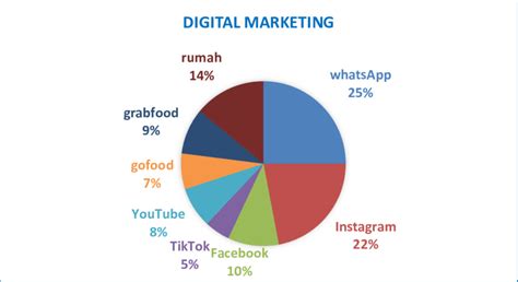 Pie Chart Graph Digital Marketing Users In Applications On Social