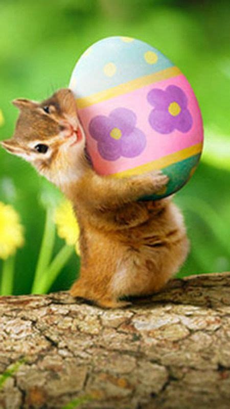 Details About Chipmunk Holding Easter Egg Funny Easter Card Greeting