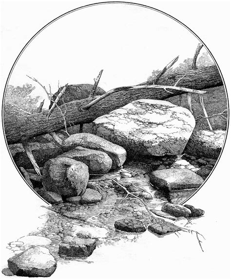 Eaton Rapids Joe Ink Drawing Of Rocks And Tree