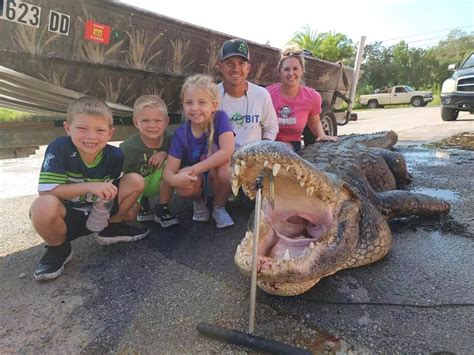 A 920 Pound Florida Alligator Was Caught After A 4 Hour Fight With