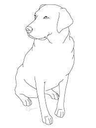 He was a part of my dnd character who is a warrior who lost his head due to a curse and now has a dog head grafted on instead. Image result for simple drawing of labrador | Easy ...