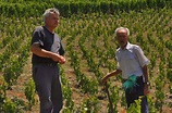 Domaine Frédéric Zufferey