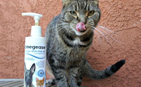 So, cat people, does fish oil help with dry skin/dandruff? Natural Fish Oil for Dogs & Cats - Omegease Review ...