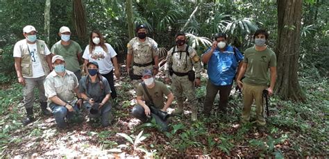 Liberan Animales De Distintas Especies En Parque Nacional Yaxhá Nakum