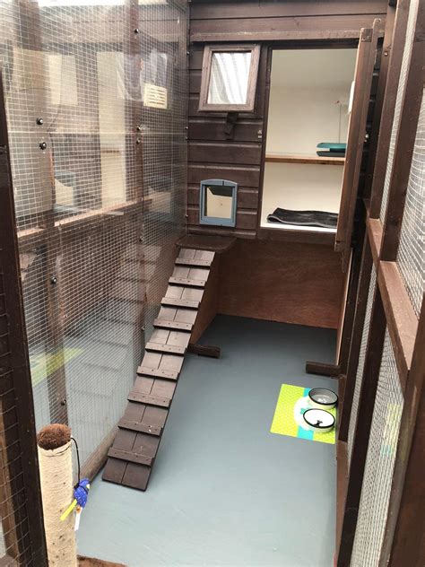 Our Cattery Appletree Cattery