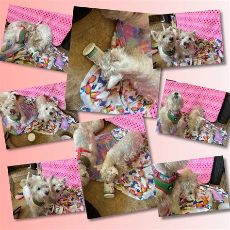 Max and Neo Donation News | Max and Neo