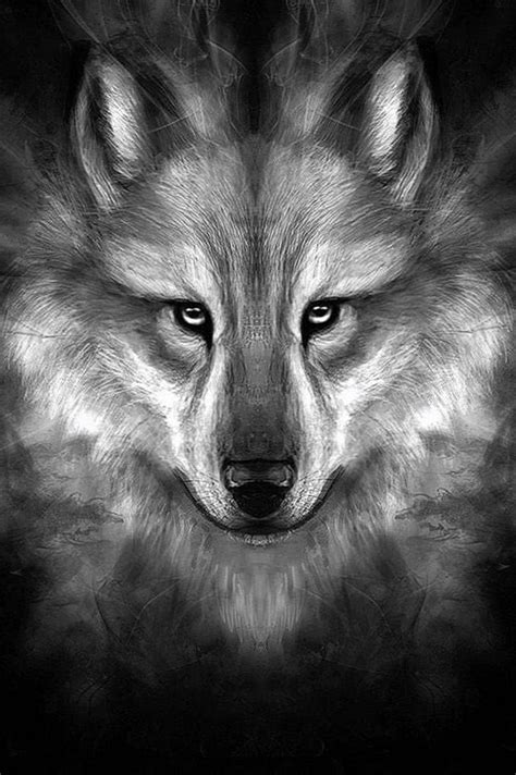 Wolf With Scars Wallpapers Wolf Background Images