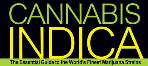 Cannabis Indica The Essential Guide Purple Pineberry By Secret Valley