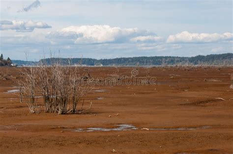 Dried Estuary Of Nisqually River In The Billy Frank Jr Nisqually