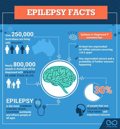 Epilepsy Epilepsy Facts Epilepsy Treatment