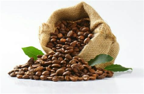 sejarah perkembangan kopi  indonesia