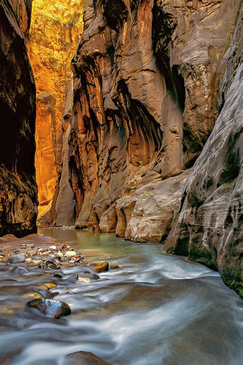 Virgin River Narrows Zion National Park Photograph By Dan