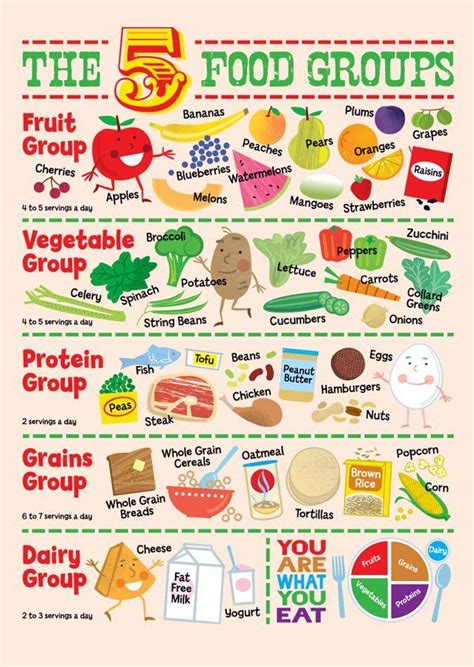 Food Groups And Nutrition Artofit