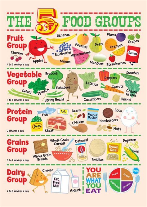 Choose foods that have a high content of nutrients (protein, vitamins, and minerals) compared with the amount of calories, fat, and sodium content. The 5 Food Groups Wall Mural in 2020 | Group meals, Food ...