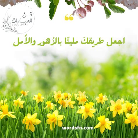 حكم عبارات عن الذئب