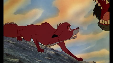 the fox and the hound screenshots the fox and the hound photo 38784925 fanpop